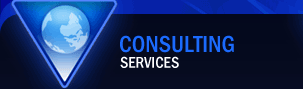 Consulting Services